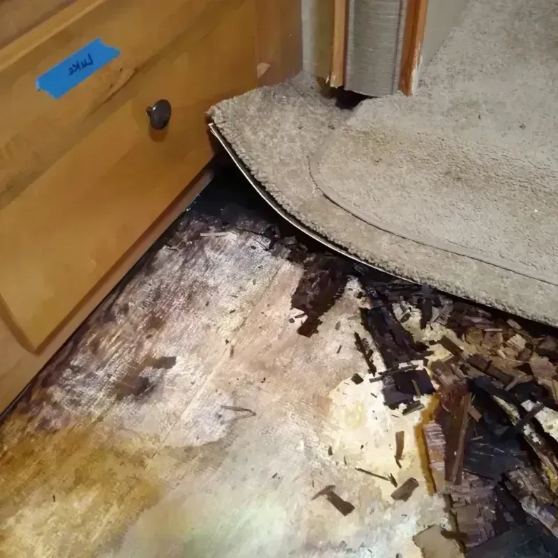 Wood Floor Water Damage in Grayson Valley, AL